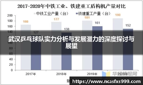 武汉乒乓球队实力分析与发展潜力的深度探讨与展望